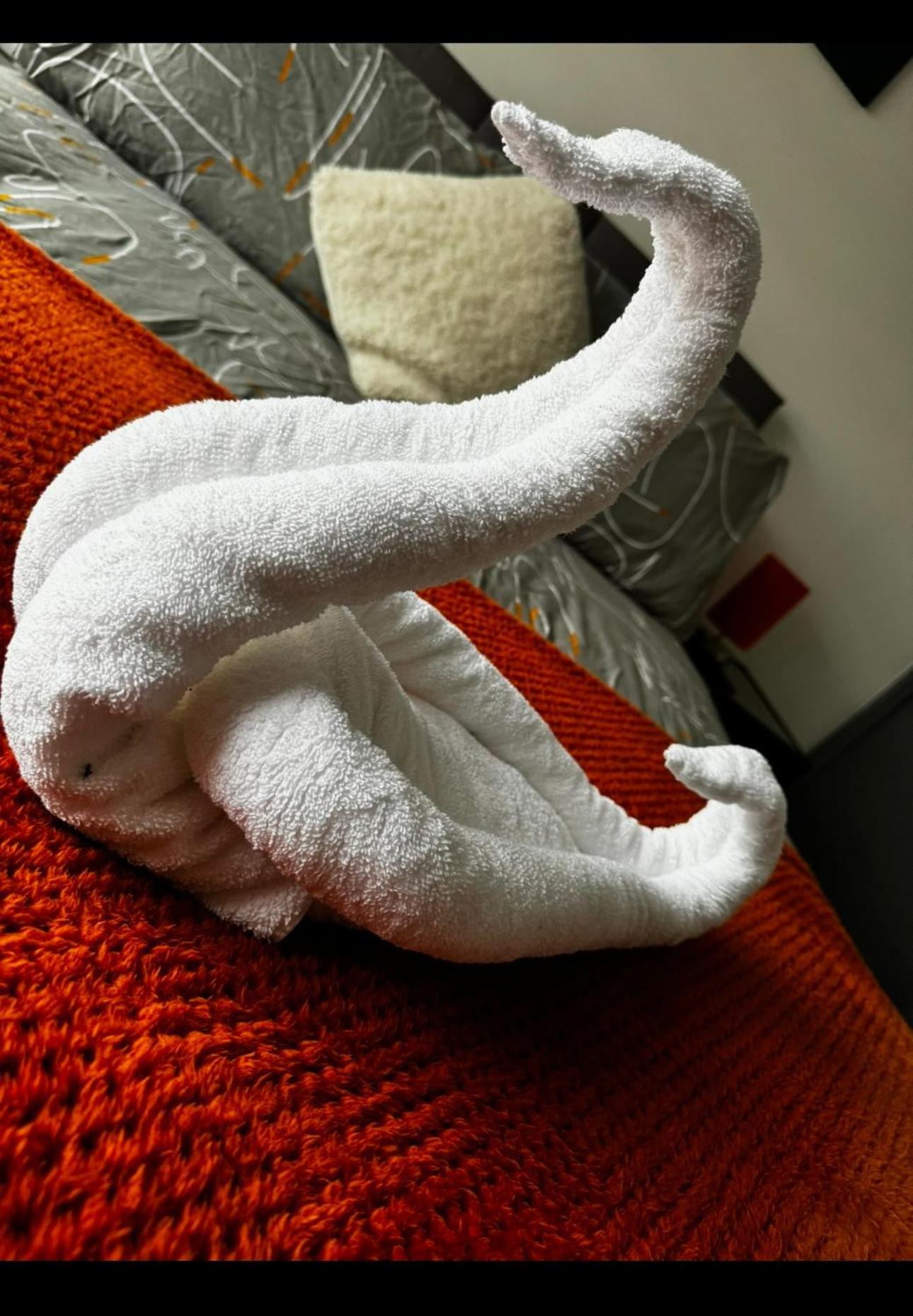 Melville House - Pet Friendly بلاكبول المظهر الخارجي الصورة